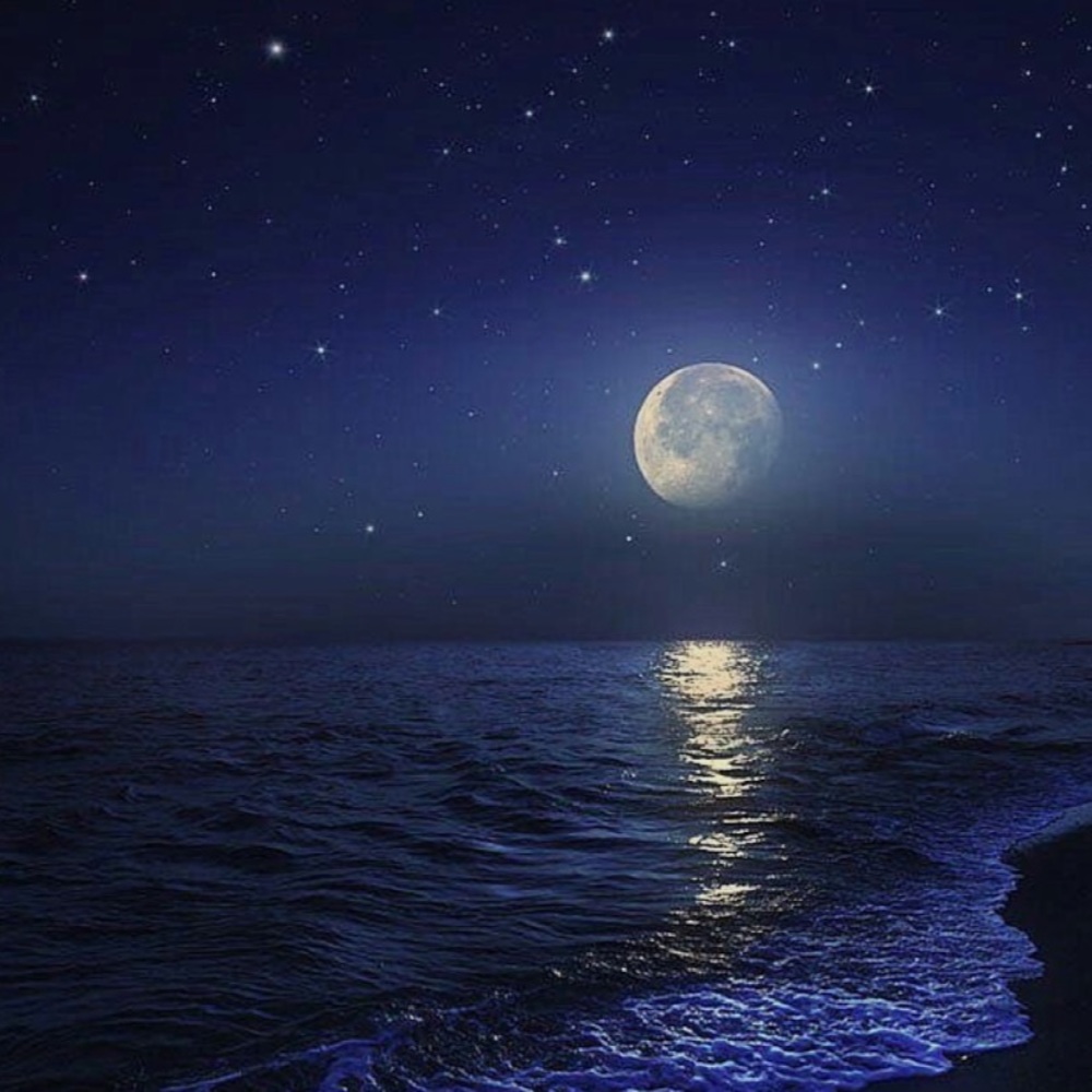 Meet your Posher, Anhelica